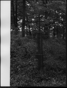 Trześcianka, cmentarz prawosławny