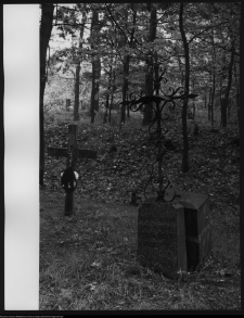 Trześcianka, cmentarz prawosławny