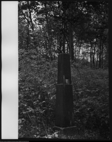 Trześcianka, cmentarz prawosławny