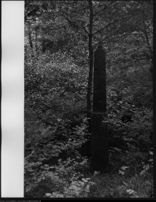 Trześcianka, cmentarz prawosławny