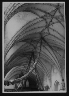 Kamionna, kości&oacute;ł pw. Narodzenia Najświętszej Marii Panny