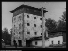 R&oacute;żyńsk Wielki, młyn