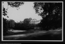 Kurozwęki, widok na jezioro