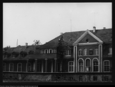 Mieduniszki Wielkie, fragment pałacu