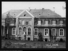 Mieduniszki Wielkie, fragment pałacu