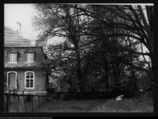 Mieduniszki Wielkie, fragment parku przypałacowego