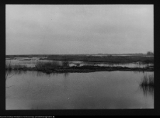 Tykocin, rzeka Narew