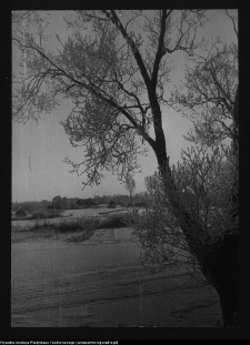 Tykocin, widok na miasto od strony Narwi