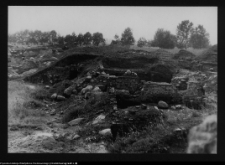 Tykocin, ruiny zamku