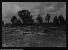 Tykocin, ruiny zamku