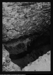 Tykocin, ruiny zamku