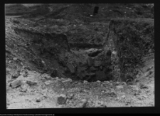 Tykocin, ruiny zamku