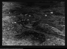 Tykocin, ruiny zamku