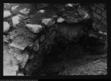 Tykocin, ruiny zamku