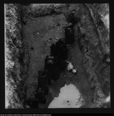 Tykocin, ruiny zamku