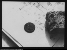 Tykocin, ruiny zamku