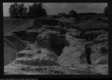 Tykocin, ruiny zamku