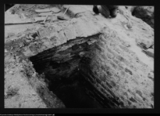 Tykocin, ruiny zamku