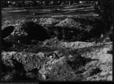 Szczuczyn, pozostałości pałacu Szczuk&oacute;w