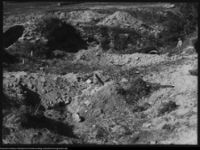 Szczuczyn, pozostałości pałacu Szczuk&oacute;w