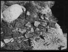 Szczuczyn, pozostałości pałacu Szczuk&oacute;w