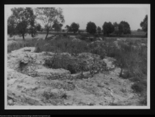 Tykocin, ruiny zamku