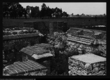 Tykocin, ruiny zamku