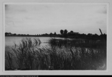 Tybory-Kamianka, stawy w pobliżu dworu