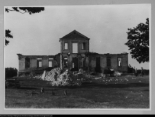 Tybory-Kamianka, Pałac Roszkowskich