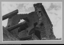 Tybory-Kamianka, Pałac Roszkowskich