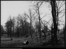 Ciechanowiec, park pałacowy