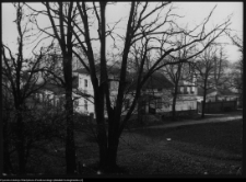 Ciechanowiec, park pałacowy