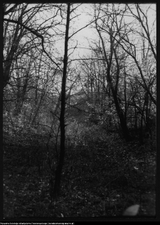 Ciechanowiec, park pałacowy