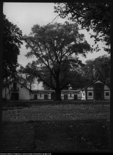 Ciechanowiec, budynki pałacowe