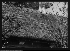 Topił&oacute;wka, dom nr 2