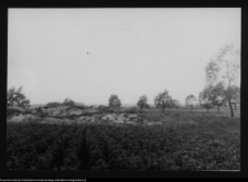Tykocin, ruiny zamku