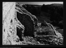 Wigry, fragment domu kr&oacute;lewskiego