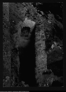 Wigry, fragment domu kr&oacute;lewskiego