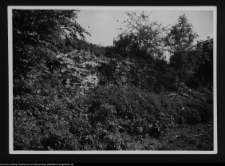 Wigry, fragment mur&oacute;w oporowych