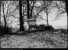 Szczyty-Nowodwory, fragment bramy dworu