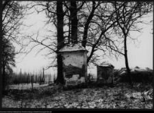 Szczyty-Nowodwory, fragment bramy dworu