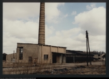 Kozowszczyzna, ruiny cegielni