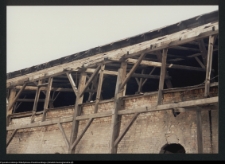 Kozowszczyzna, ruiny cegielni