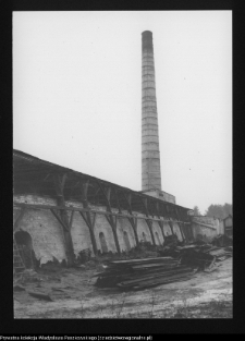 Kozowszczyzna, ruiny cegielni