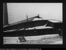 Kozowszczyzna, ruiny cegielni