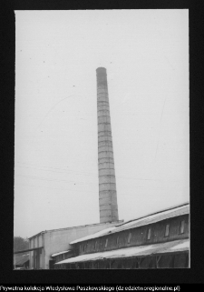 Kozowszczyzna, ruiny cegielni