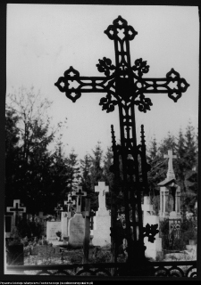 Sokoły