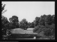 Zabłud&oacute;w, park podworski