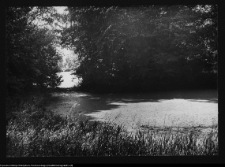 Zabłud&oacute;w, park podworski