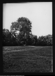 Zabłud&oacute;w, park podworski